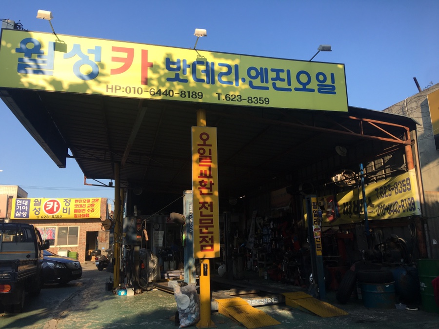 월성카 이미지