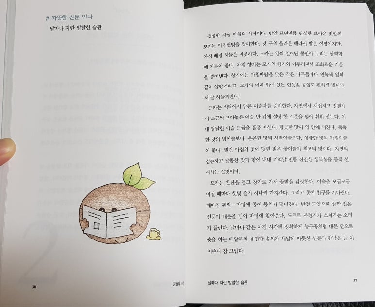 콩들의 이야기 이미지
