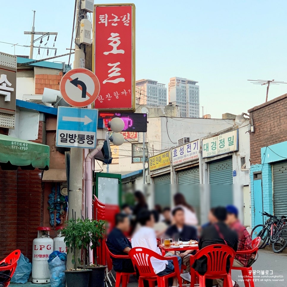 쿨하게호프 이미지