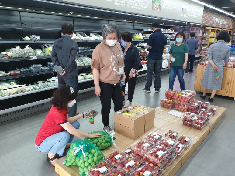 새마을여행사 이미지