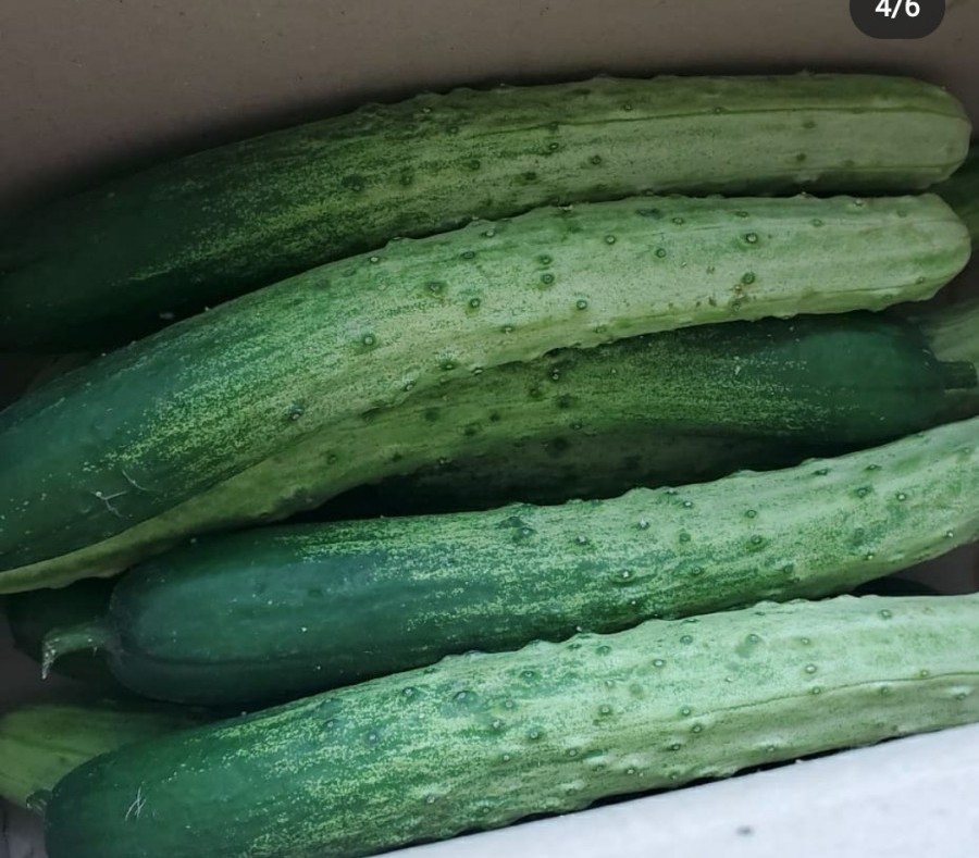 동천안농업협동조합로컬푸드직매장 이미지