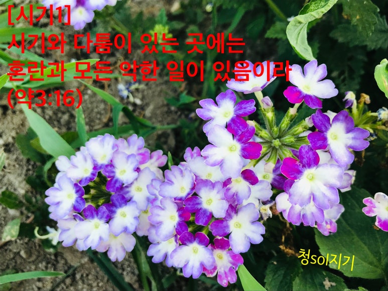 (주)선한농장 이미지