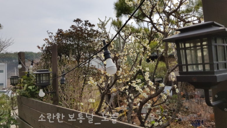 그리운티하우스 이미지