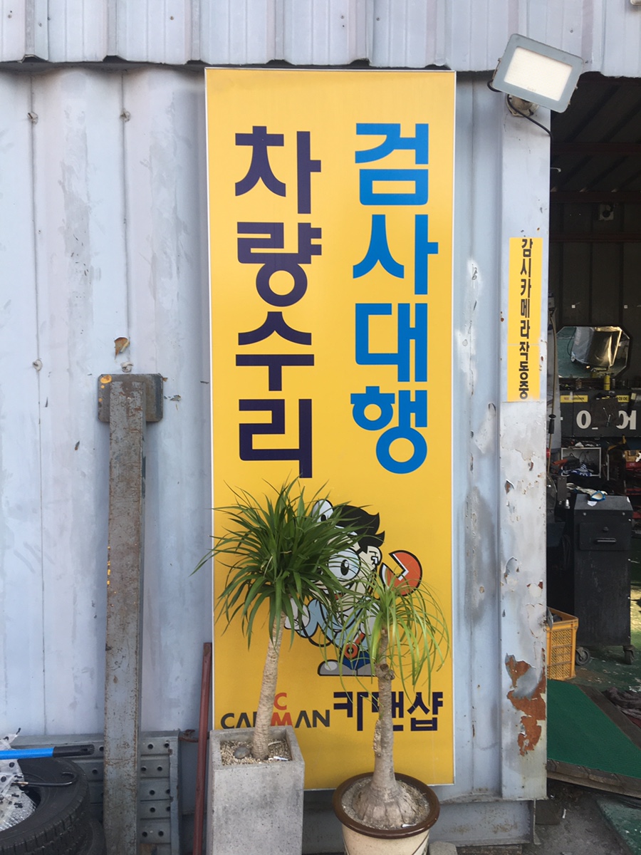 월성카 이미지