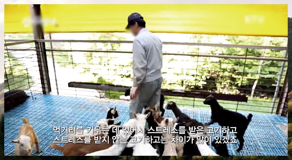 녹색흑염소(주) 이미지
