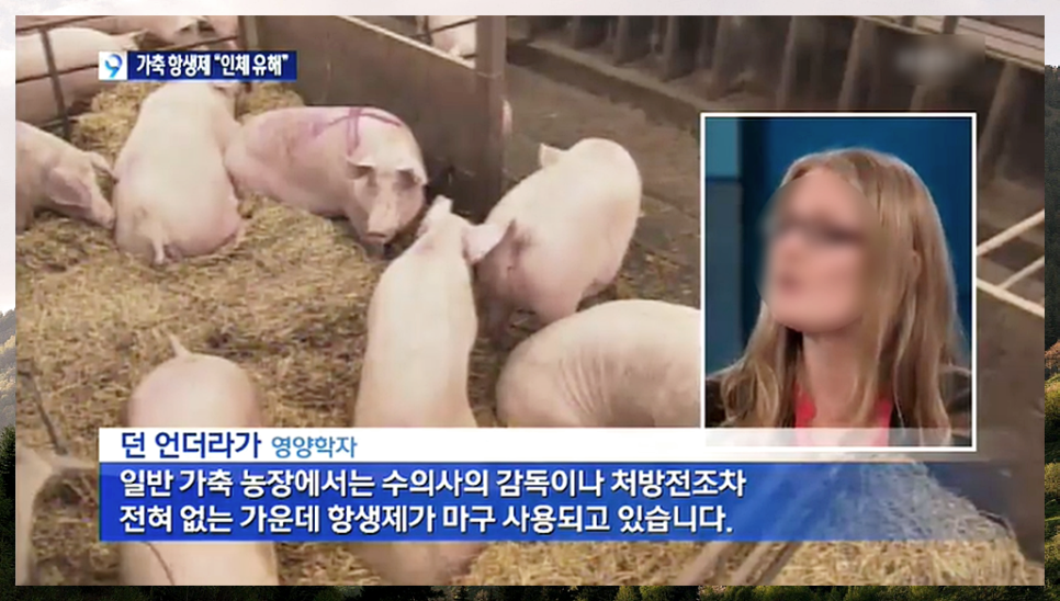 녹색흑염소(주) 이미지