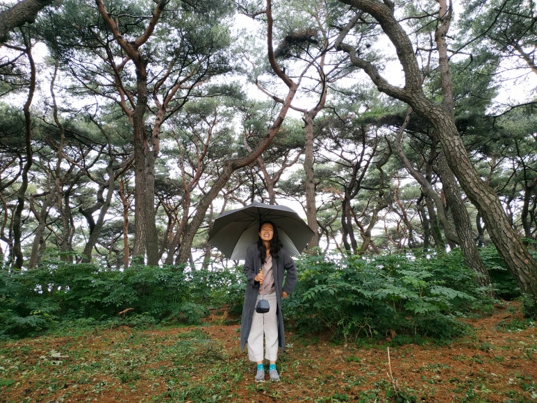 만지작하우스민박 이미지