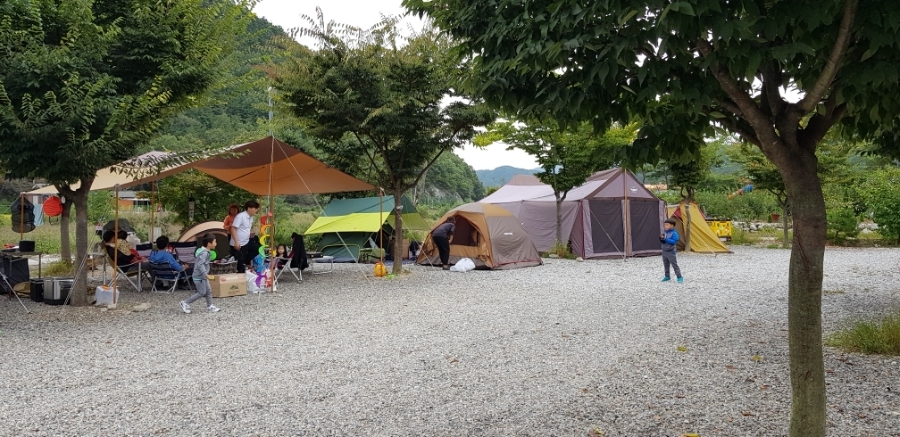 성주자연오토캠핑장 이미지