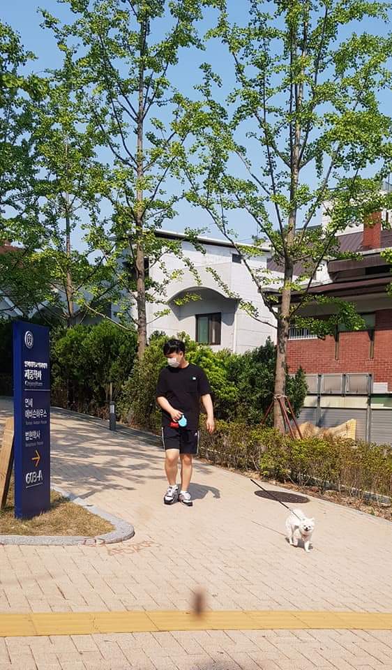 제중 이미지