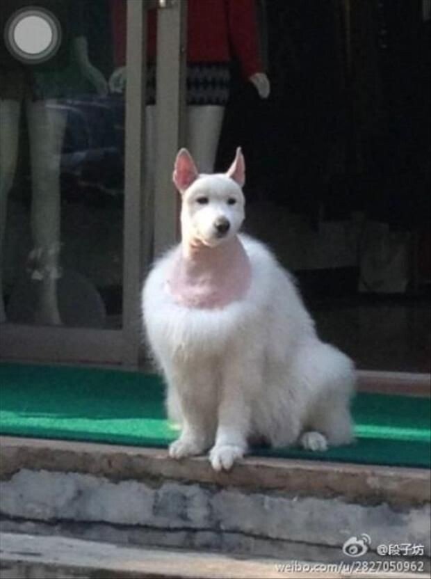 미용천하 이미지