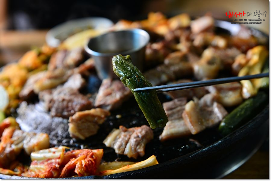 올레도야지 이미지