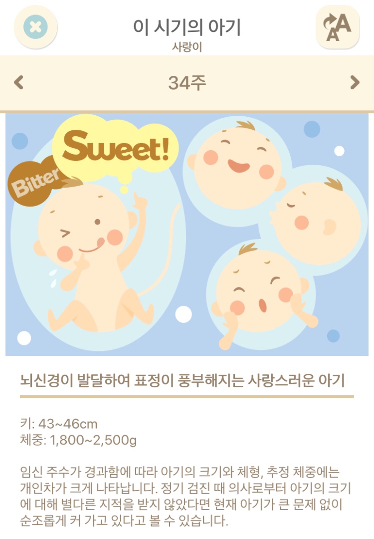미로달 이미지