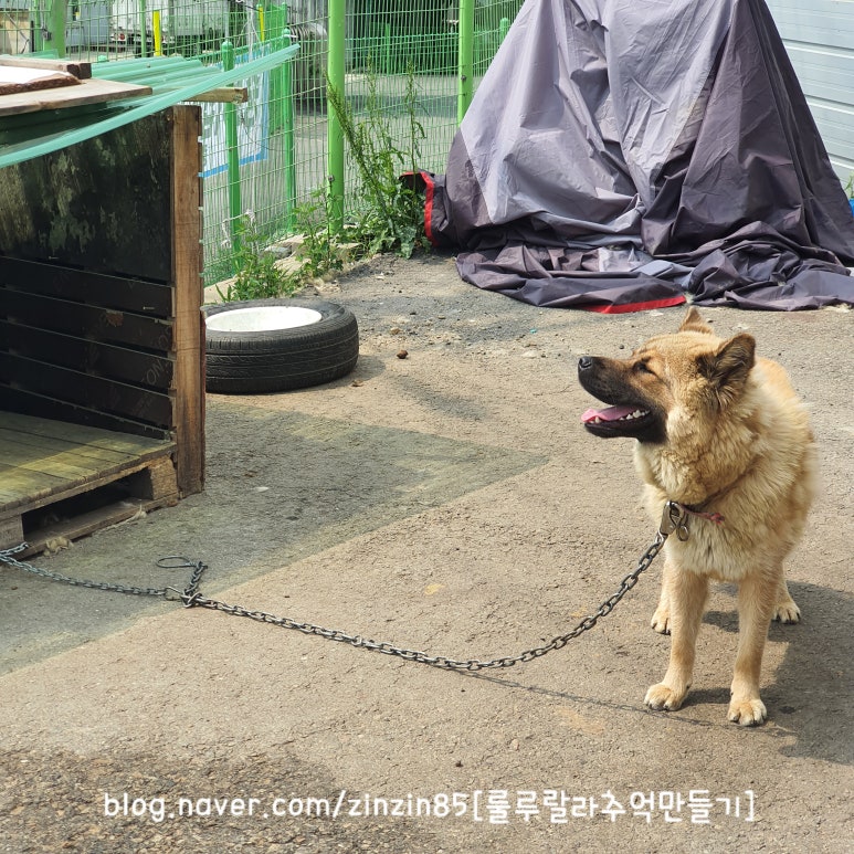 봉담세탁소 이미지