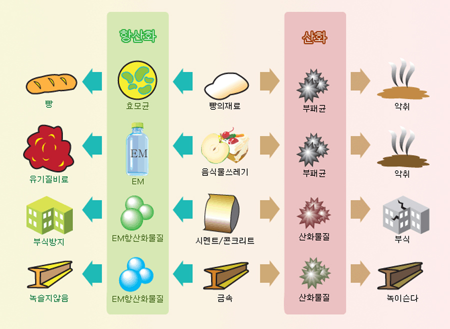 이엠팜 이미지