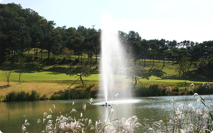 (주)캐슬렉스제주 이미지