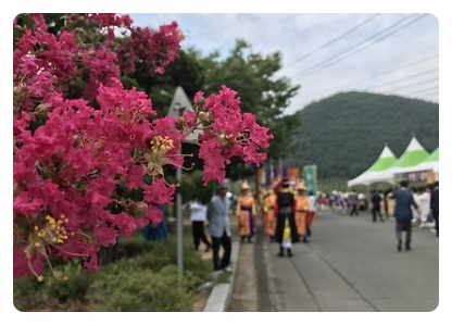하지파지 이미지