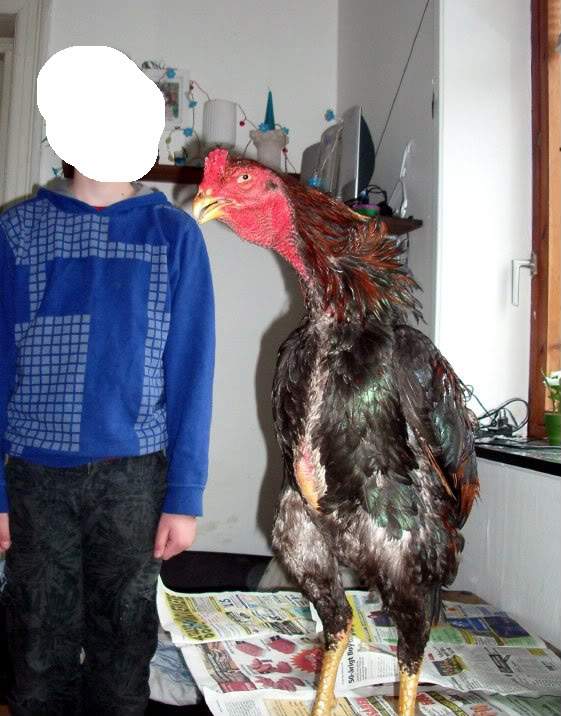 보령유정식당 이미지