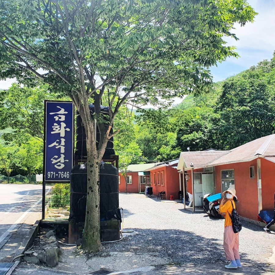 금화백숙 이미지