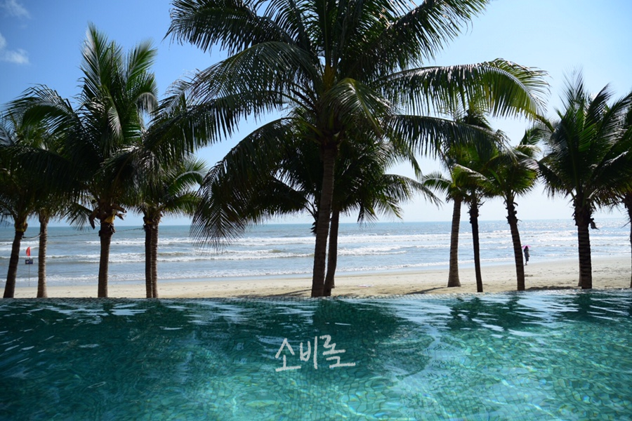 스위트젠 이미지