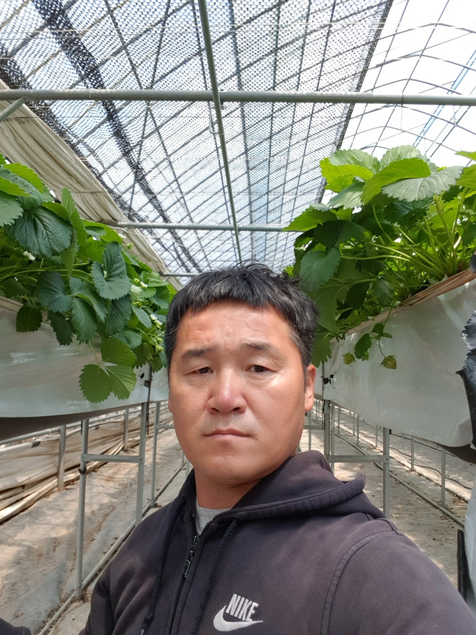 대관령톡톡 이미지