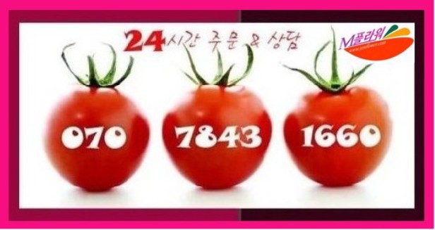 완주꽃배달써비스 이미지