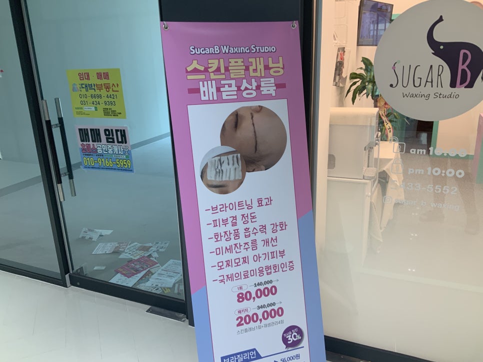 슈가비 이미지