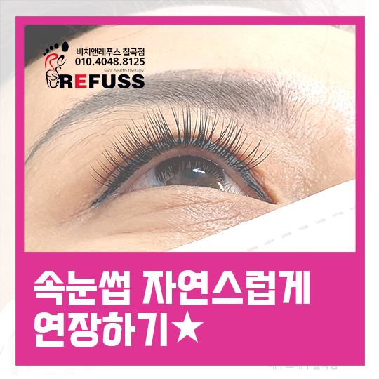 비치앤레푸스 이미지