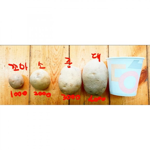 다래농원 이미지