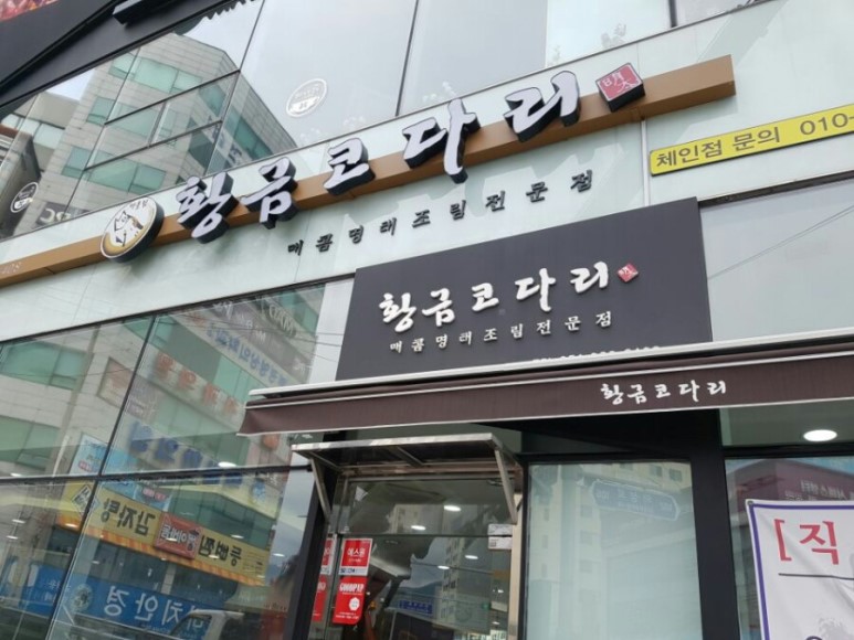 금빛코다리 이미지