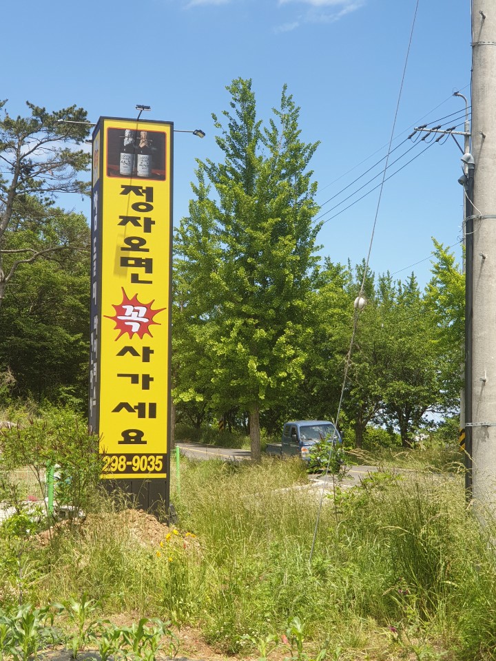 참들미 이미지