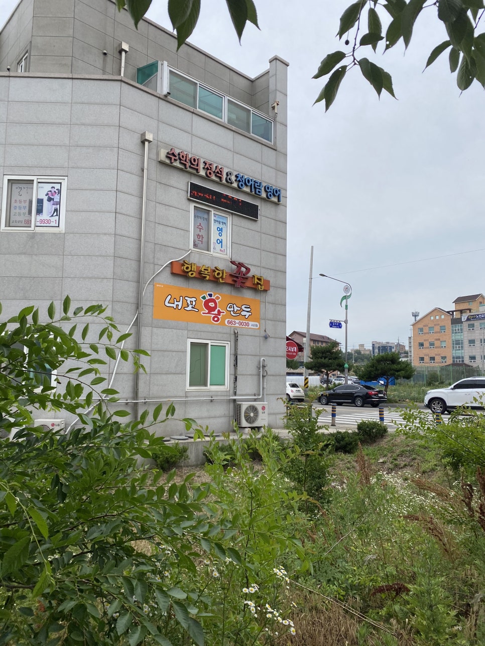 내포왕만두 이미지