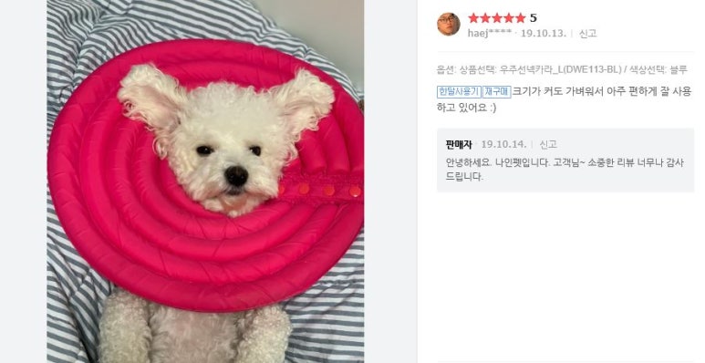 몽이냥이 이미지
