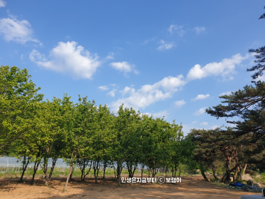 새아지트 이미지