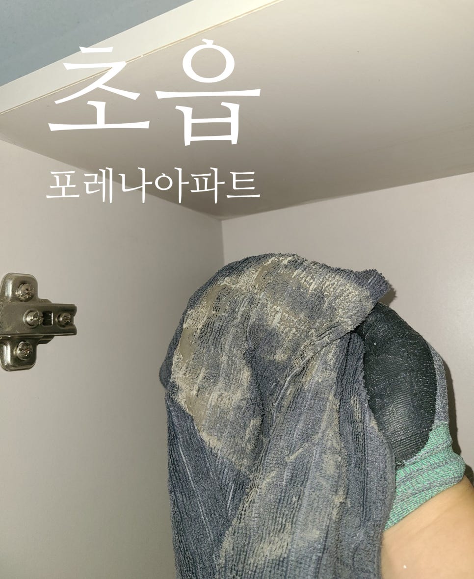 청소하기 좋은 날 이미지