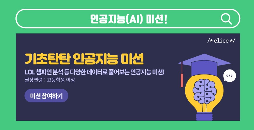 비버코딩 이미지