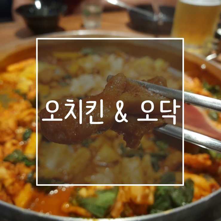 오치킨&오닥 이미지