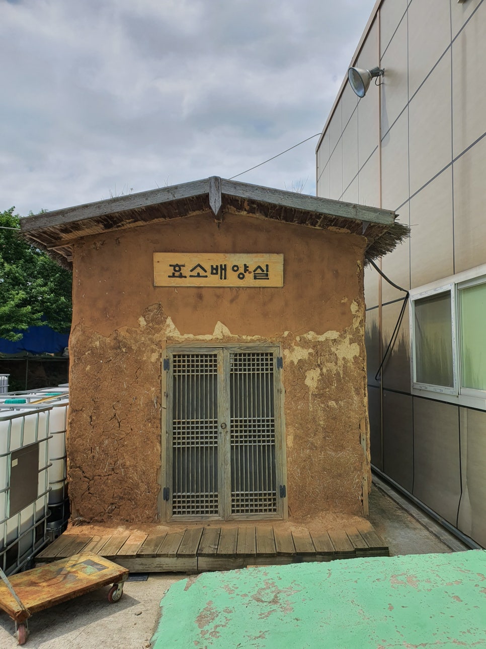 (주)케이엔자임 이미지