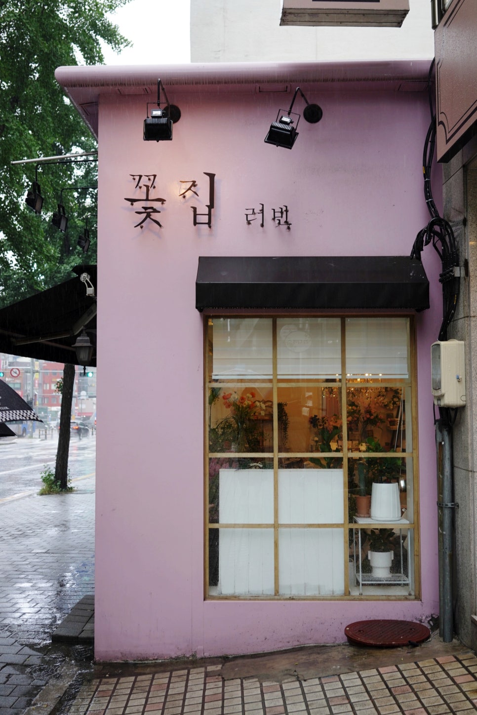 러빈스플라워 이미지