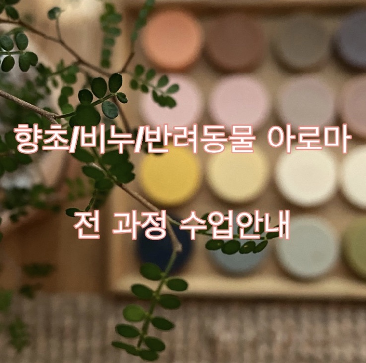 아로마러브유 이미지