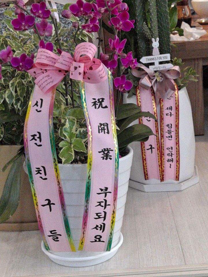 경포물회 이미지