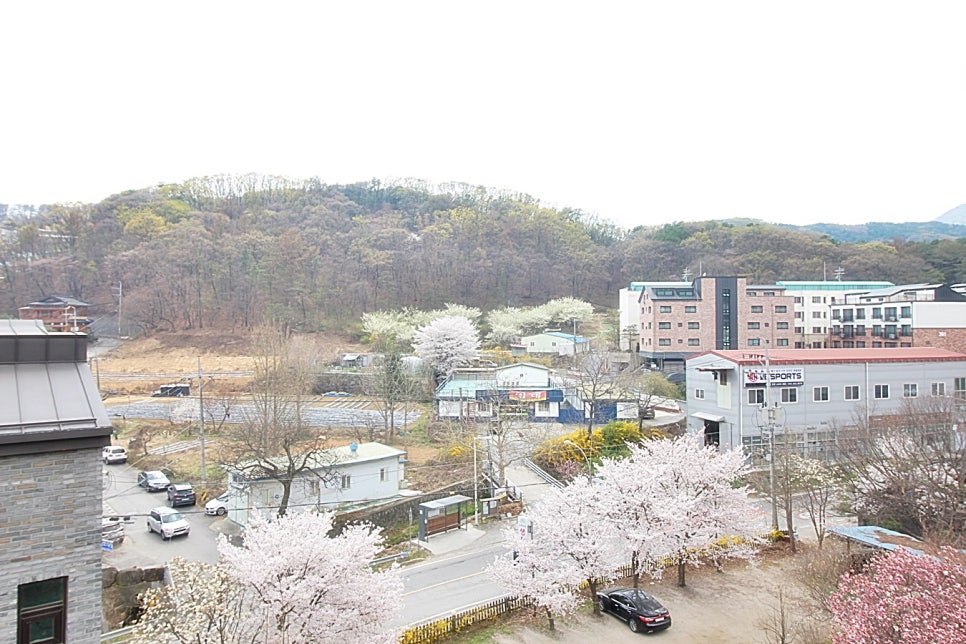 테라스모바일 이미지