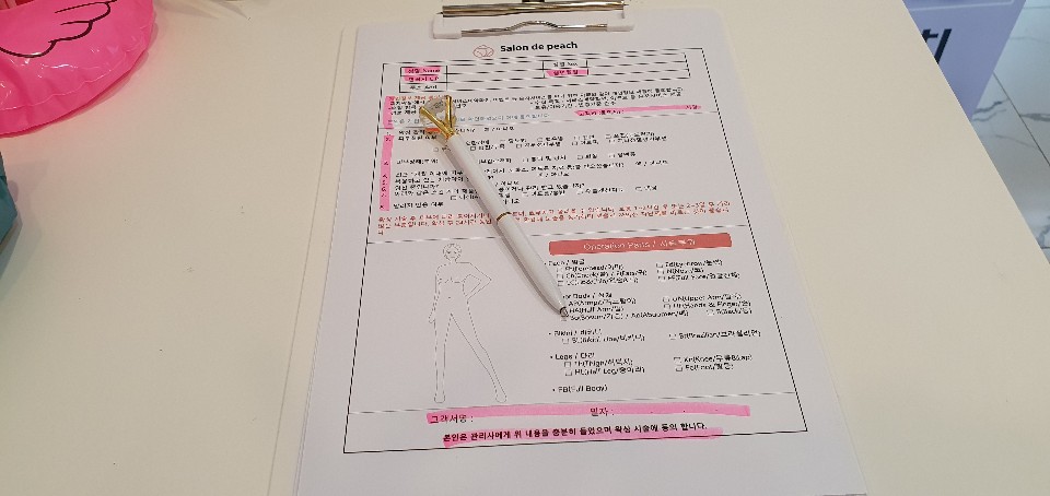 살롱 드 피치 이미지