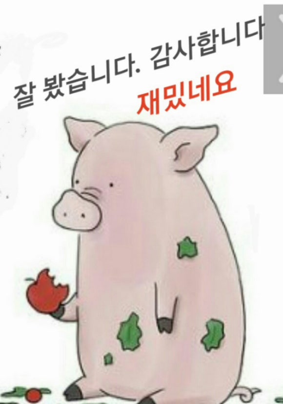 돼지우리 이미지