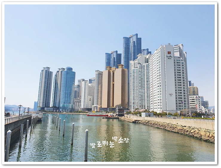 송정해양레저마리나 이미지