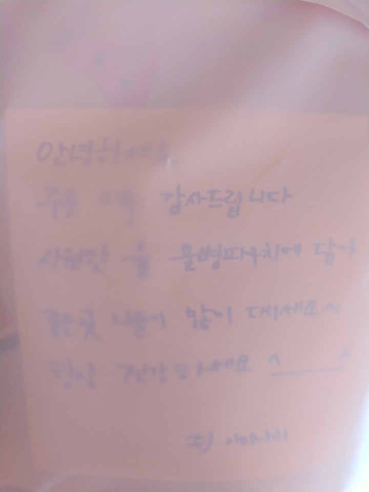 아이나리 이미지
