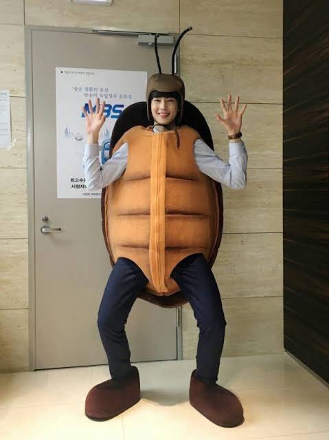 꼬꼬리꼬 이미지