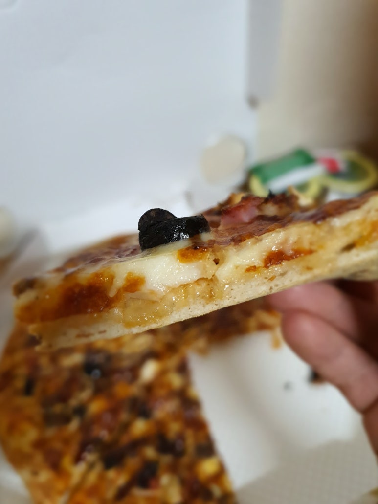 올리브숲 이미지