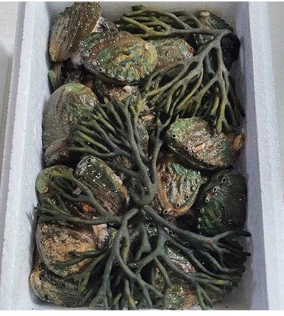 선우팜 이미지