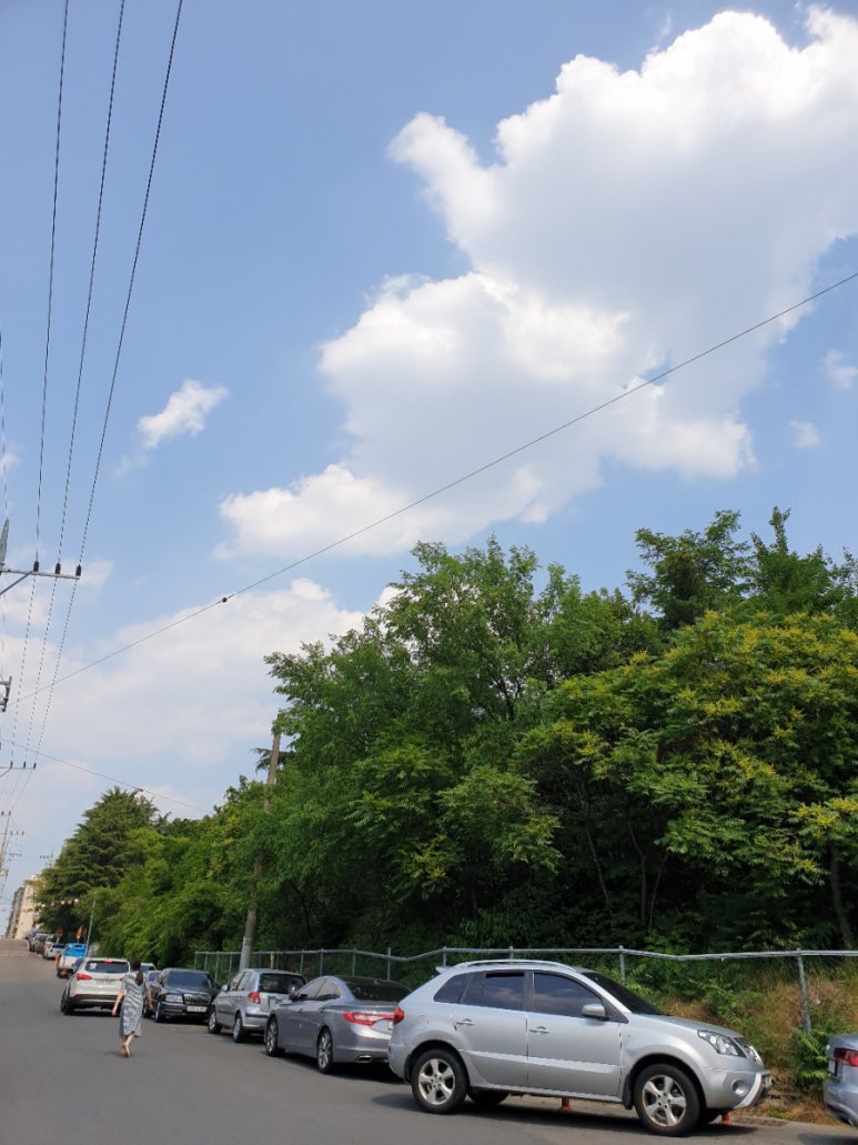 야시골공원 이미지