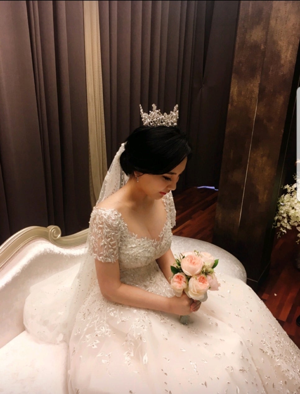 베르노비아 이미지